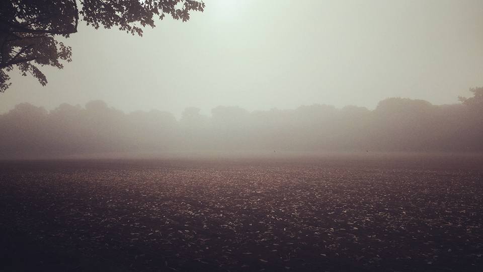 leomansley-mist